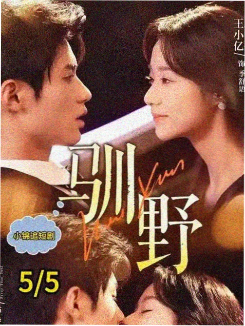卡通站电视播出线路条目一周时刻表的排法占位图
